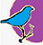 A Little Bird